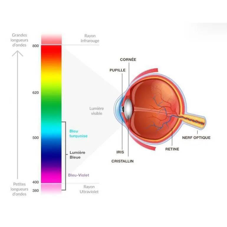 Santé des yeux